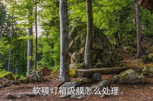 軟膜燈箱吸膜怎么處理