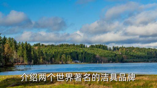 介紹兩個(gè)世界著名的潔具品牌