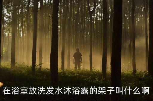 在浴室放洗發(fā)水沐浴露的架子叫什么啊