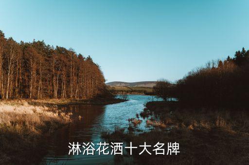 淋浴花灑十大名牌