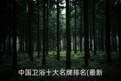 中國衛(wèi)浴十大名牌排名(最新