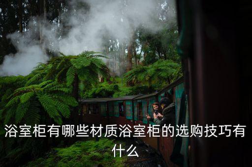 極簡高級衛(wèi)浴柜圖片大全集