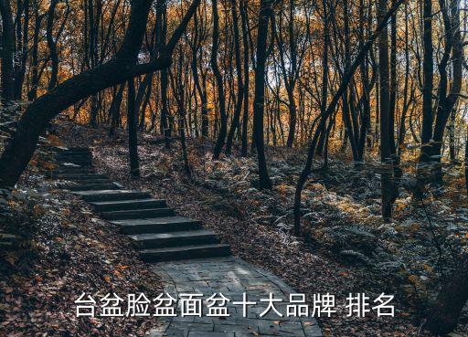 品牌衛(wèi)浴陶瓷盆排名榜前十,中國衛(wèi)浴十大排名榜都有哪些品牌