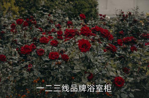一二三線品牌浴室柜