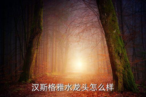 漢斯格雅水龍頭怎么樣