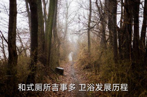 和式廁所吉事多 衛(wèi)浴發(fā)展歷程