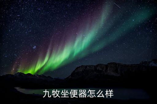 九牧坐便器怎么樣