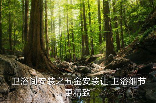  衛(wèi)浴間安裝之五金安裝讓 衛(wèi)浴細(xì)節(jié)更精致