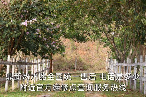 鼎新熱水器全國統(tǒng)一售后 電話是多少附近官方維修點查詢服務(wù)熱線