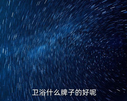  衛(wèi)浴什么牌子的好呢