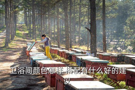 廣東衛(wèi)浴瓷磚顏色搭配圖片,房子裝修瓷磚顏色搭配的圖片看一下