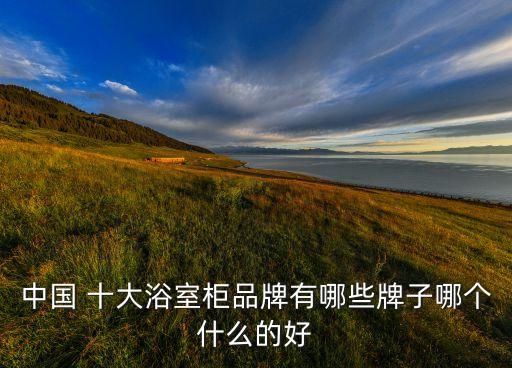中國 十大浴室柜品牌有哪些牌子哪個什么的好