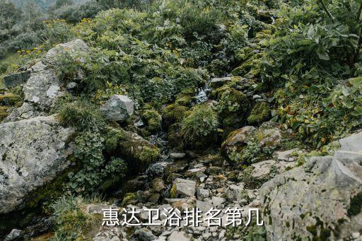  惠達衛(wèi)浴排名第幾