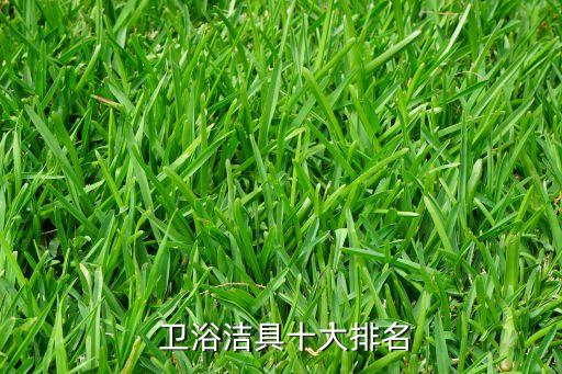  衛(wèi)浴潔具十大排名