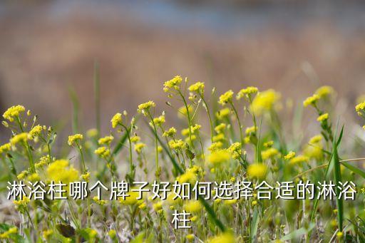 淋浴柱哪個(gè)牌子好如何選擇合適的淋浴柱