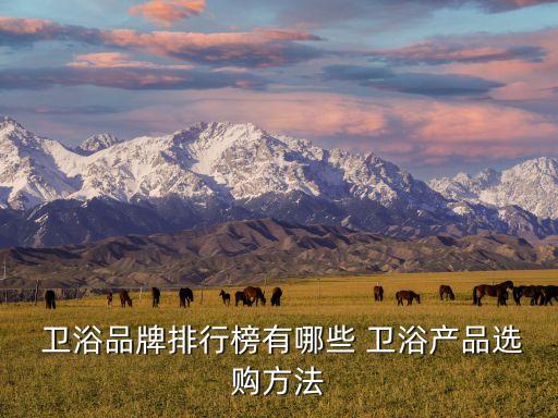  衛(wèi)浴品牌排行榜有哪些 衛(wèi)浴產(chǎn)品選購方法