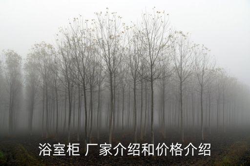 東方小箭衛(wèi)浴廠家電話