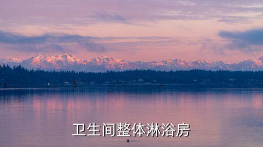 衛(wèi)生間整體淋浴房