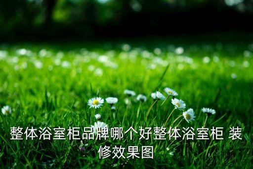 整體浴室柜品牌哪個(gè)好整體浴室柜 裝修效果圖