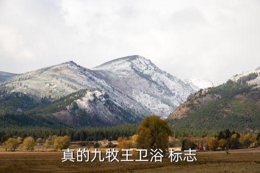 什么是貼牌衛(wèi)浴品牌標(biāo)志,貼牌化妝品牌需要什么條件