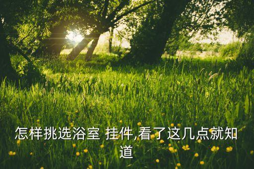 美式衛(wèi)浴掛件推薦圖片大全