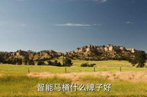 衛(wèi)浴品牌哪個(gè)智能比較強(qiáng),十大品牌智能衛(wèi)浴排名前十名