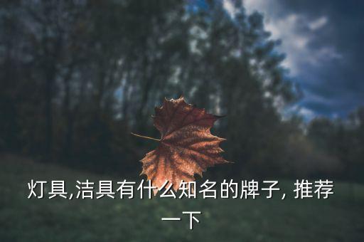 燈具,潔具有什么知名的牌子, 推薦一下