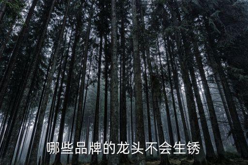 哪些品牌的龍頭不會(huì)生銹