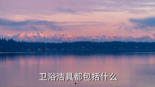  衛(wèi)浴潔具都包括什么