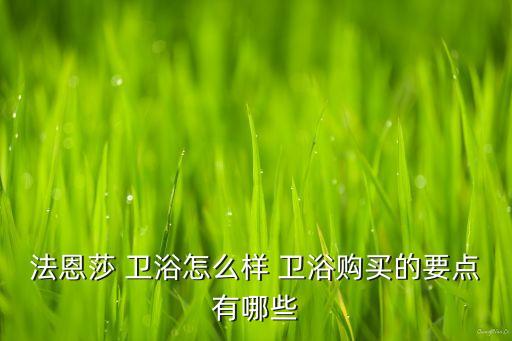 法恩莎 衛(wèi)浴怎么樣 衛(wèi)浴購買的要點(diǎn)有哪些