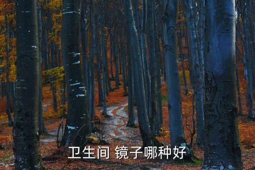 衛(wèi)浴鏡子形狀有哪些品牌,鏡子的形狀有哪些