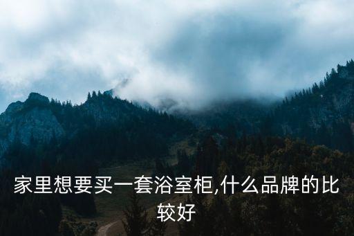 家里想要買一套浴室柜,什么品牌的比較好