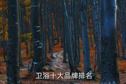 綠地整體衛(wèi)浴體系介紹圖片