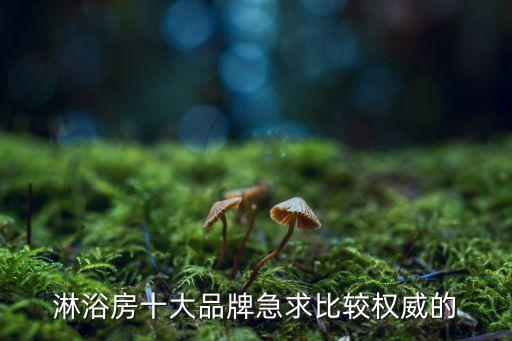 淋浴房十大品牌急求比較權威的