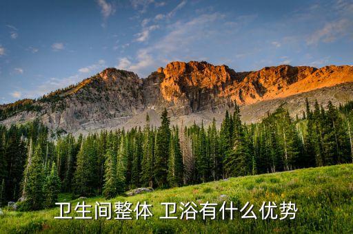 遠(yuǎn)大集成衛(wèi)浴電話