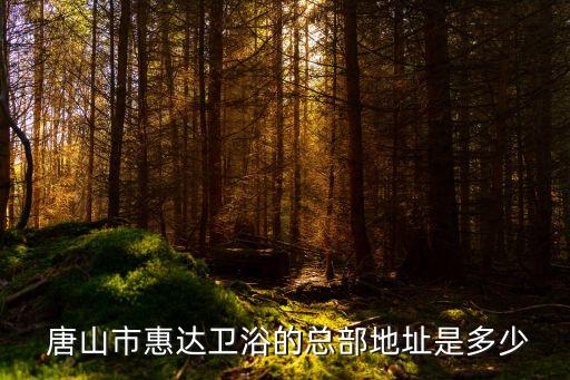  唐山市惠達(dá)衛(wèi)浴的總部地址是多少