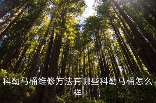 科樂衛(wèi)浴總店電話多少啊