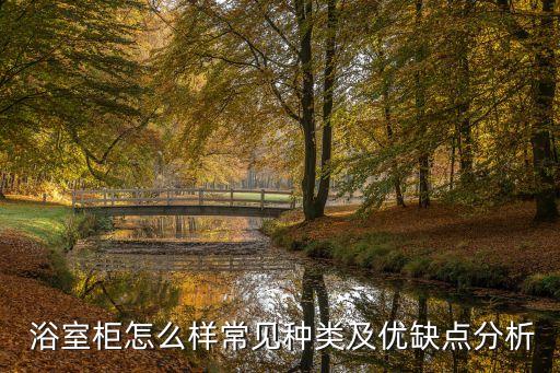 浴室?guī)r板衛(wèi)浴柜圖片大全