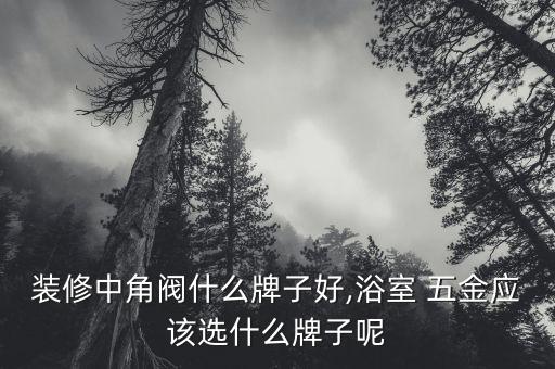 進(jìn)口衛(wèi)浴五金價(jià)格表和圖片,過(guò)江龍衛(wèi)浴價(jià)格表圖片