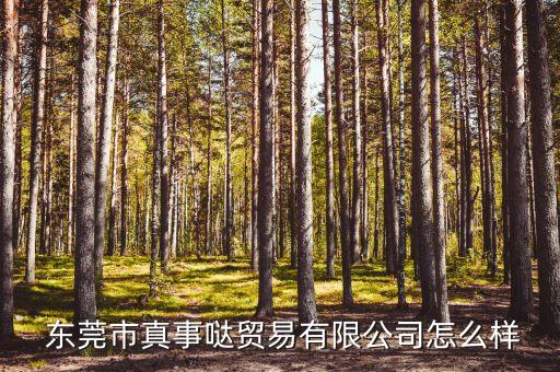  東莞市真事噠貿(mào)易有限公司怎么樣