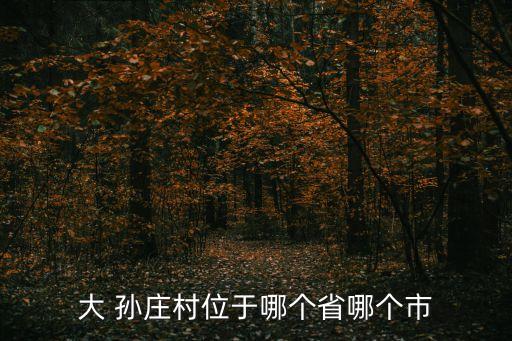 孫莊村精品衛(wèi)浴地址電話(huà)