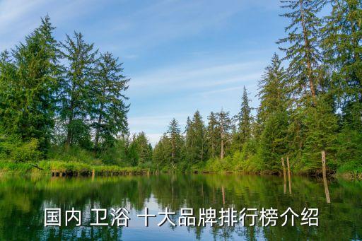國(guó)產(chǎn)十大衛(wèi)浴品牌有哪些牌子,國(guó)產(chǎn)衛(wèi)浴十大品牌最新排名榜單