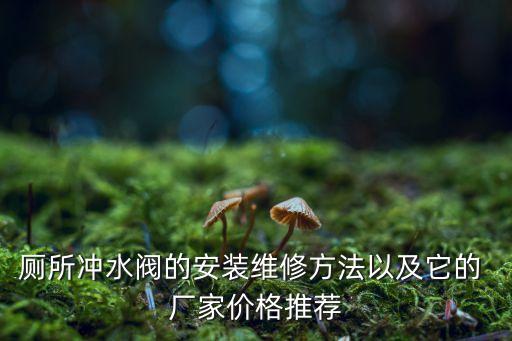 衛(wèi)浴軟管銅芯廠家直銷電話