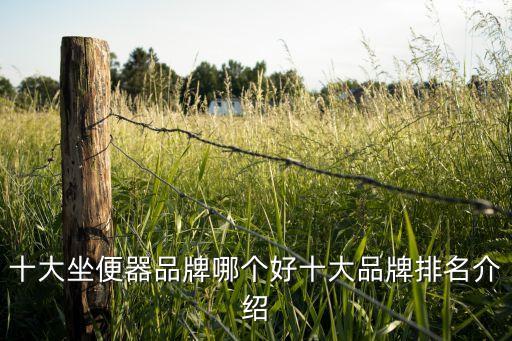 和toto差不多的衛(wèi)浴品牌,toto和美標(biāo)哪個品牌高級