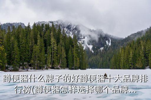 悉尼衛(wèi)浴推薦品牌介紹圖