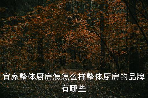 宜家衛(wèi)浴質(zhì)量好店鋪地址