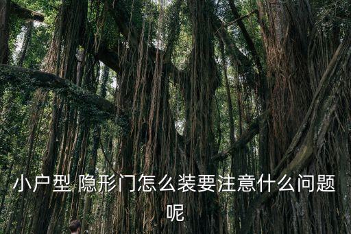 衛(wèi)浴門可以做隱形門嗎圖片