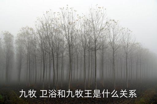 九牧 衛(wèi)浴和九牧王是什么關(guān)系