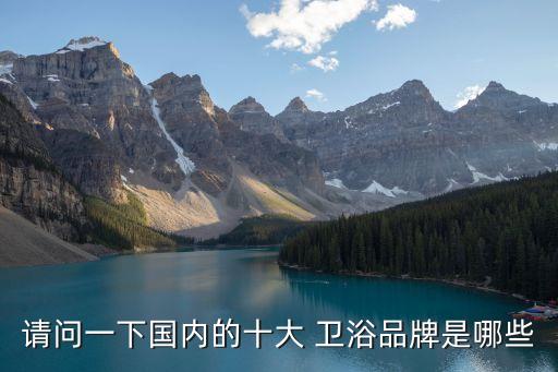 請問一下國內(nèi)的十大 衛(wèi)浴品牌是哪些