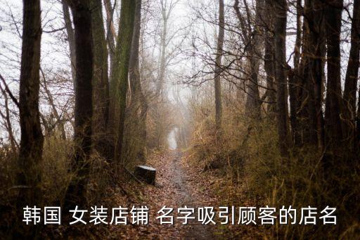 韓國 女裝店鋪 名字吸引顧客的店名